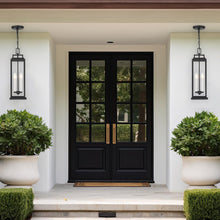 Load image into Gallery viewer, Atlas Collection - 4 Light - Chandelier - Matte Black - W:16.5cm