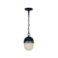 Load image into Gallery viewer, Rama Collection - Matte Black and Textured Gold Pendant - black

