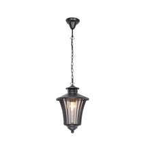 Load image into Gallery viewer, ArborLux Collection Outdoor Pendant
