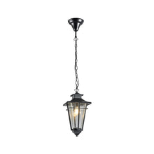 Load image into Gallery viewer, Vista Collection Outdoor Pendant
