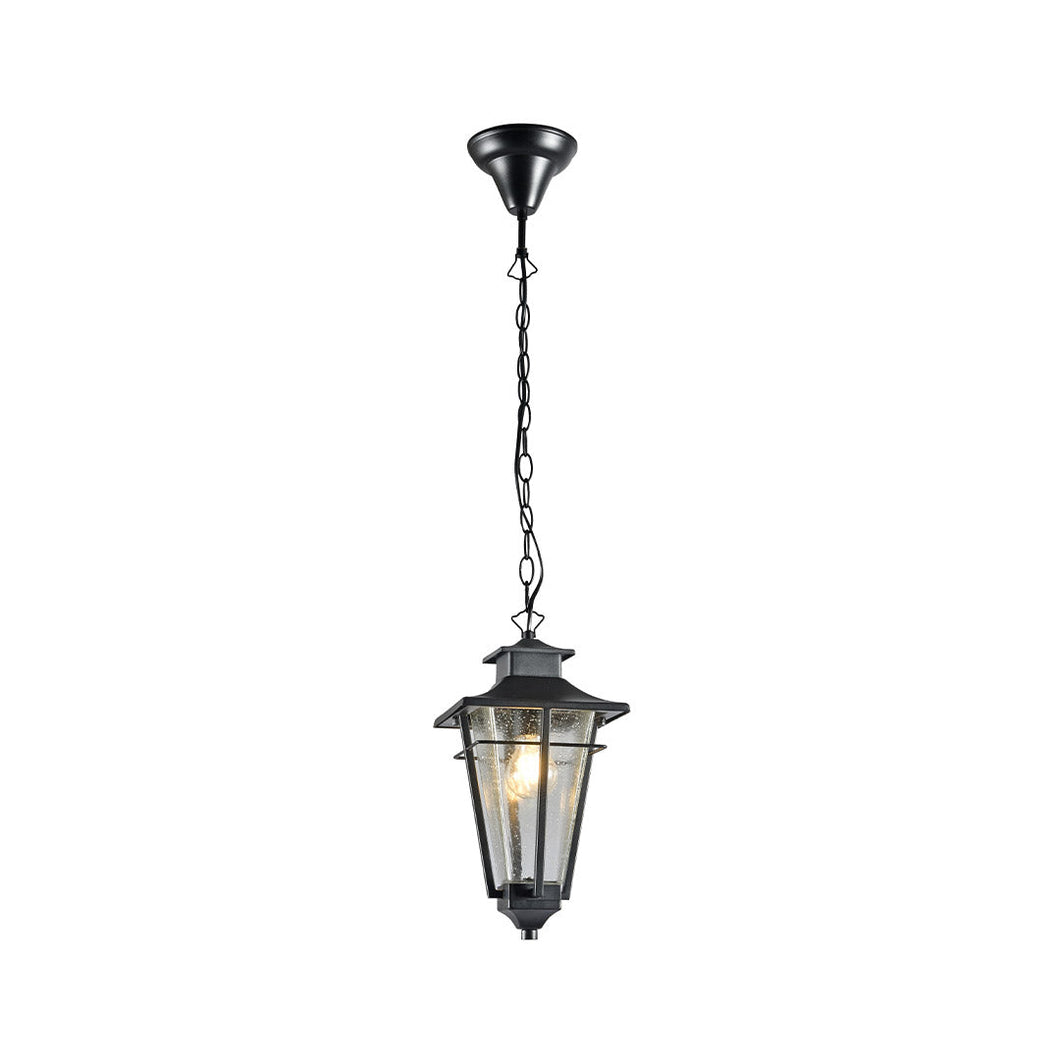 Vista Collection Outdoor Pendant