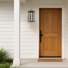 Load image into Gallery viewer, Verano Collection Outdoor Pendant
