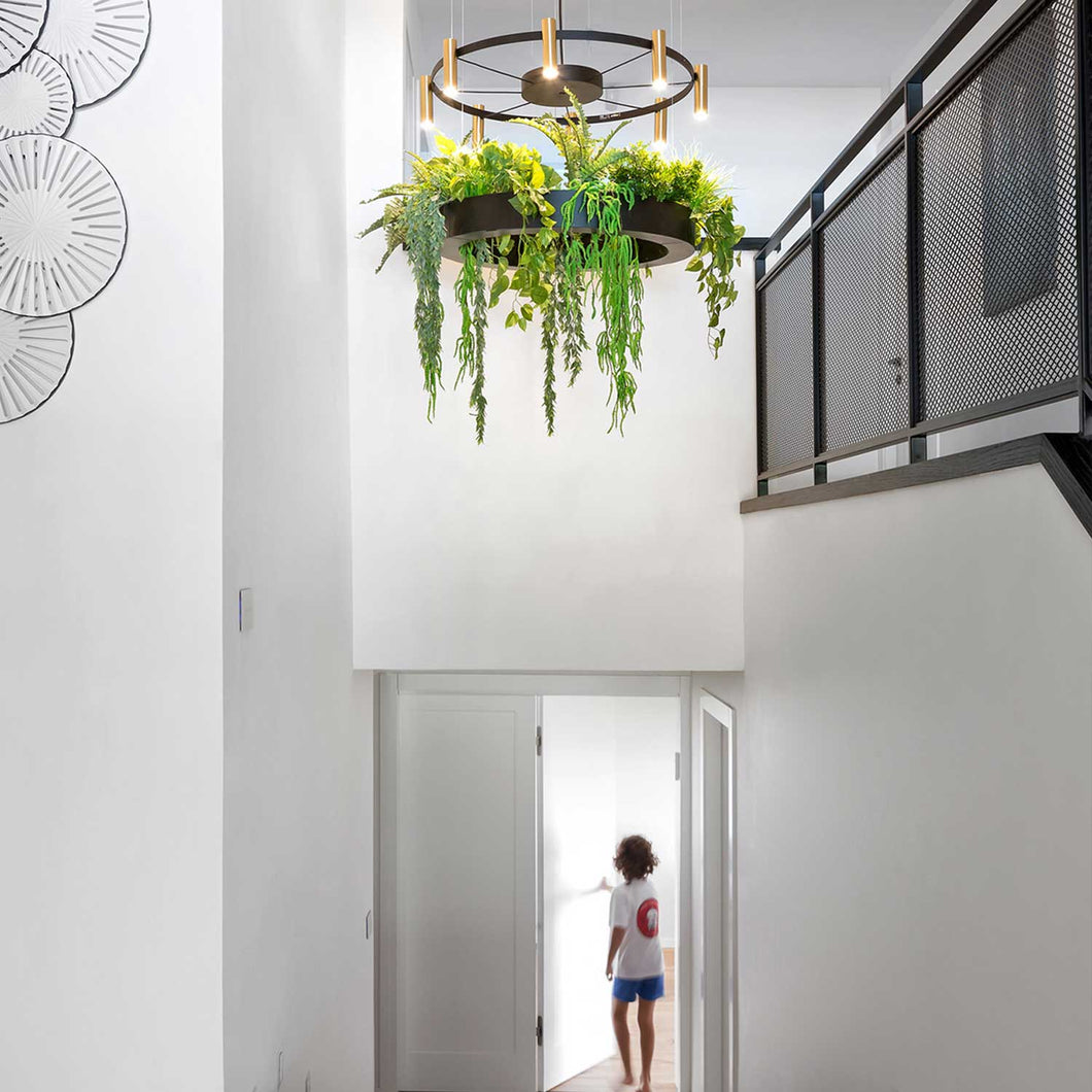 Juniper Collection - 16 Light Ring Chandelier - Matte Black & Satin Brass